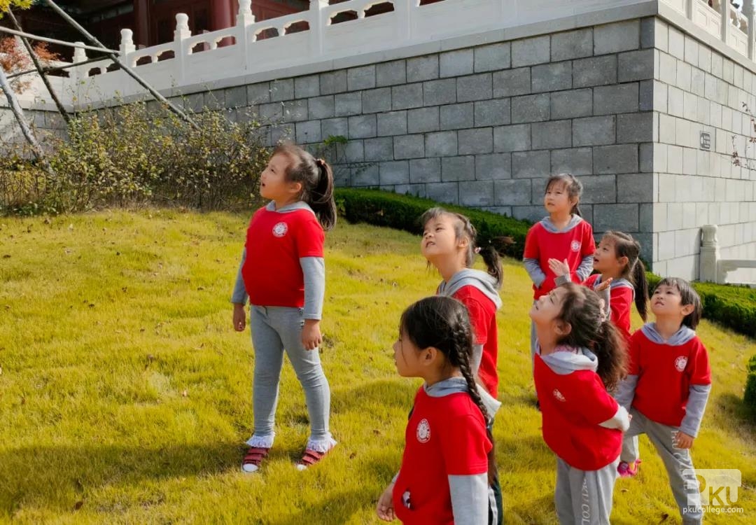 京学幼儿园小朋友